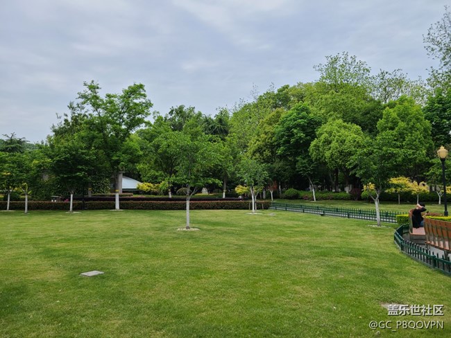【春日影像诗】春天的公园