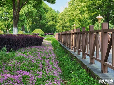 【最美人間四月天】+沙灘公園