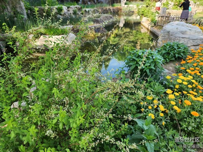 【春日影像詩】碧水藍天處