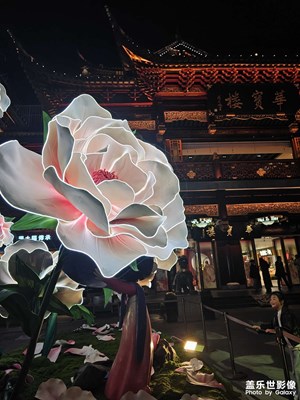 花朝節(jié)??????????