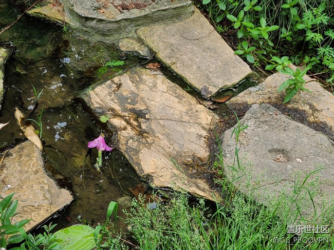 【尋找春天的味道】春暖花開