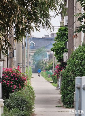 【最美人間四月天】+ 隨手拍