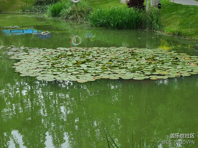 【尋找春天的味道】春暖花開