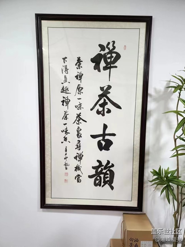 【春日影像詩】禪茶一味