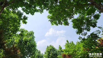 【最美人間四月天】+ 浪漫的季節(jié)