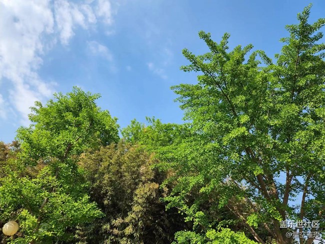 【春日影像詩】碧水藍天處