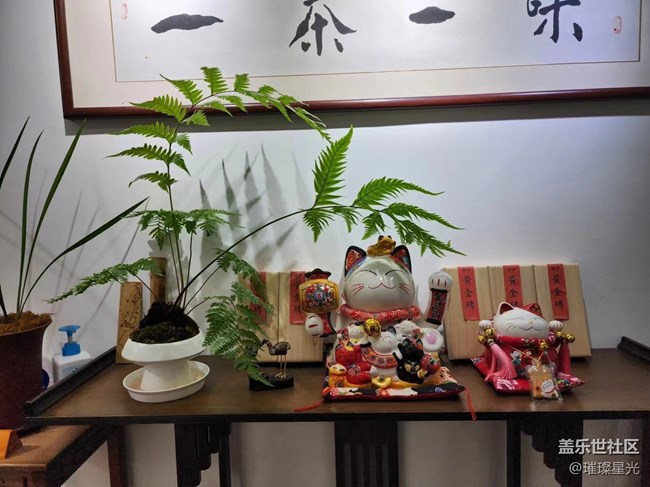 【春日影像詩】禪茶一味