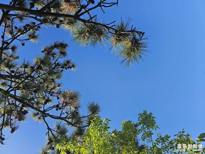 【最美人間四月天】四月的天空