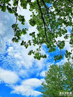 【最美人間四月天】+ 藍(lán)天白云