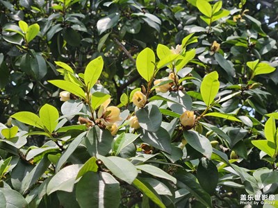 【最美人間四月天】+春日四月