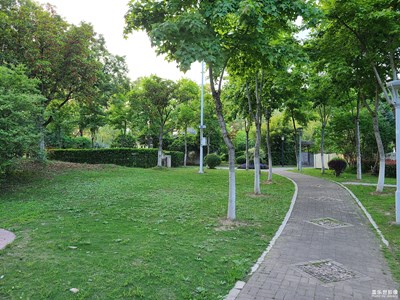 【最美人間四月天】春意盎然