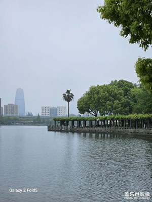 【最美人間四月天】日湖公園晨景