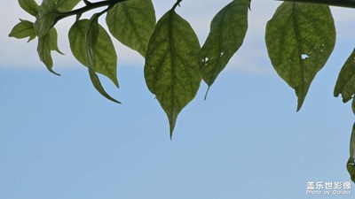 出去玩還得 非假期