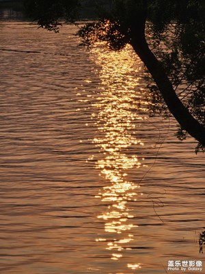 春天夕陽(yáng)無限好