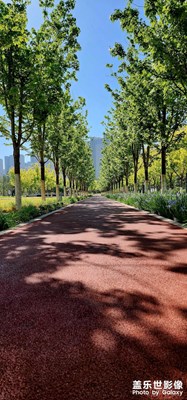 【快樂假日】+晨跑隨拍