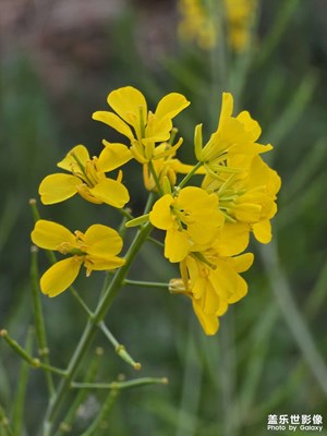 我與春風(fēng)皆過客