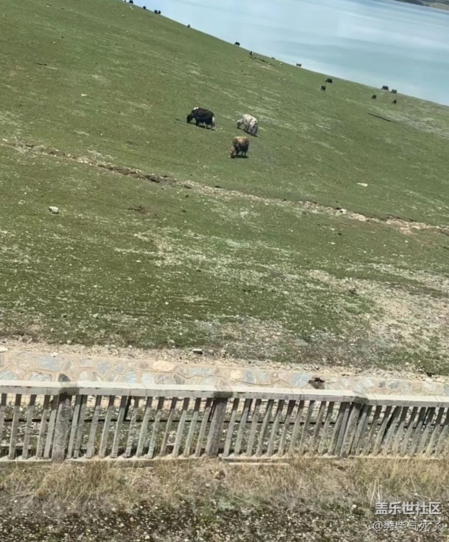 【我的旅行日記】西藏行