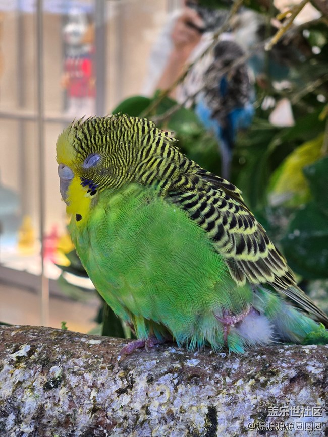 【Galaxy AI太強(qiáng)啦】武漢星部落四月線下活動(dòng)總結(jié)貼 【Galaxy AI太強(qiáng)啦】武漢星部落四月線下活動(dòng)總結(jié)貼