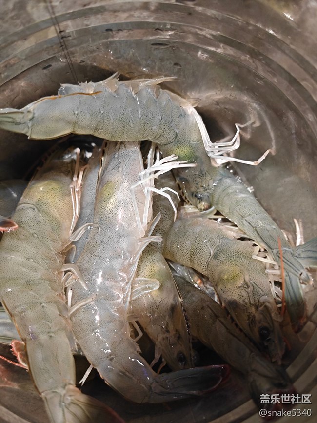 【風(fēng)味】+大蝦和蝦爬子是一回事不？