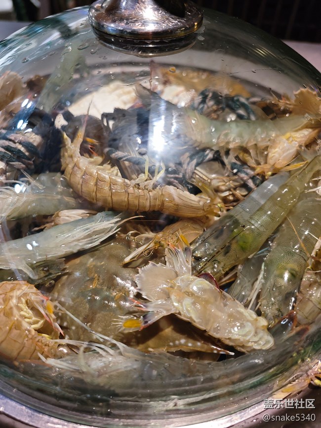 【風(fēng)味】+大蝦和蝦爬子是一回事不？