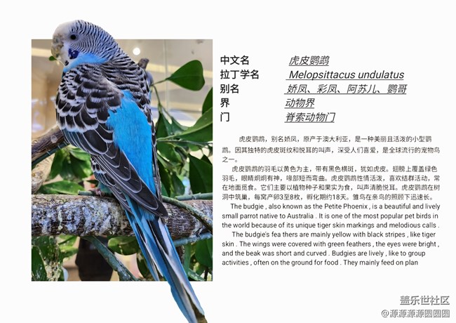 【Galaxy AI太強(qiáng)啦】武漢星部落四月線下活動(dòng)總結(jié)貼 【Galaxy AI太強(qiáng)啦】武漢星部落四月線下活動(dòng)總結(jié)貼