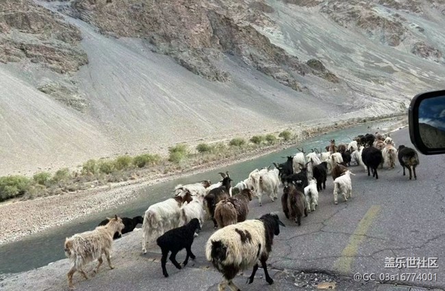 【我的旅行日記】大新疆