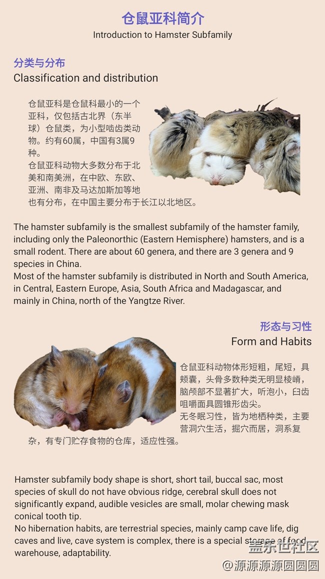 【Galaxy AI太強(qiáng)啦】武漢星部落四月線下活動(dòng)總結(jié)貼 【Galaxy AI太強(qiáng)啦】武漢星部落四月線下活動(dòng)總結(jié)貼