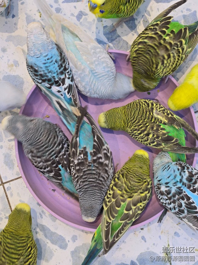 【Galaxy AI太強(qiáng)啦】武漢星部落四月線下活動(dòng)總結(jié)貼 【Galaxy AI太強(qiáng)啦】武漢星部落四月線下活動(dòng)總結(jié)貼