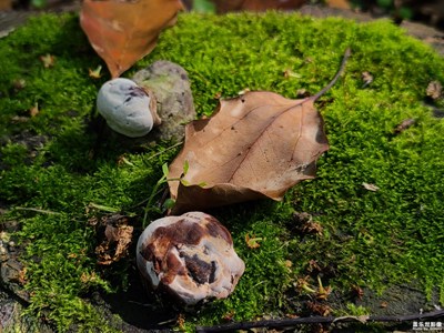【快樂假日】+ 五一出行