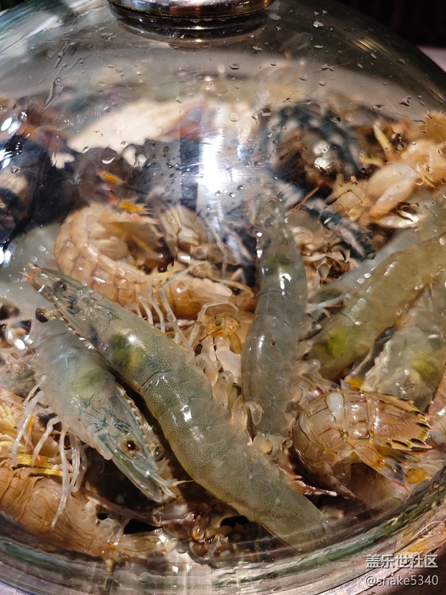 【風(fēng)味】+大蝦和蝦爬子是一回事不？