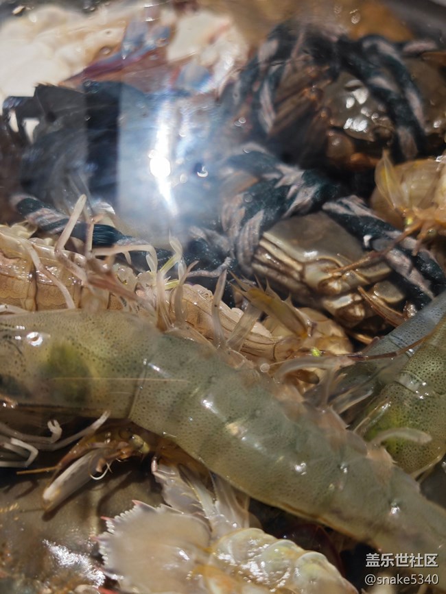 【風(fēng)味】+大蝦和蝦爬子是一回事不？