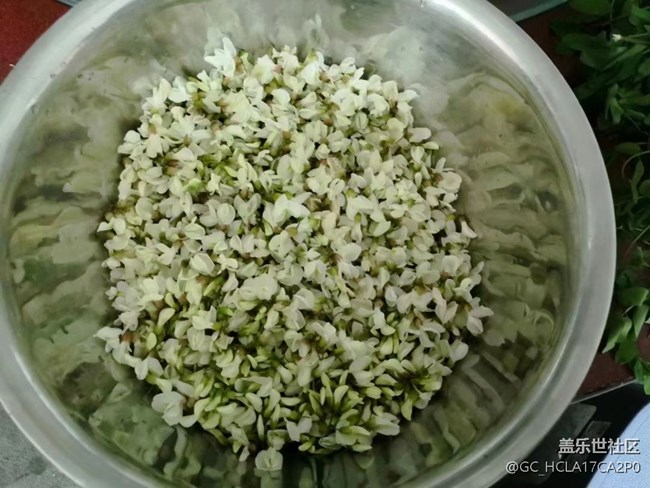 【五一美食匯】槐花蛋餅