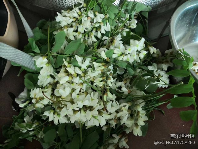 【五一美食匯】槐花蛋餅