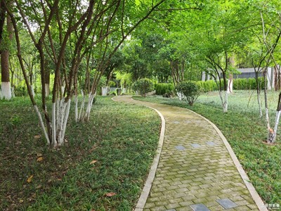 【快樂(lè)假日】+ 假期游玩