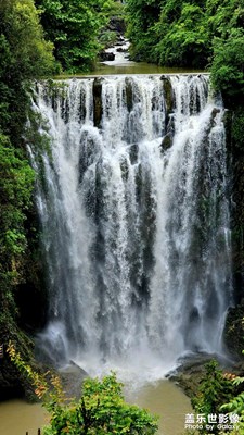 【快樂假日】+ 紅果樹下水問天