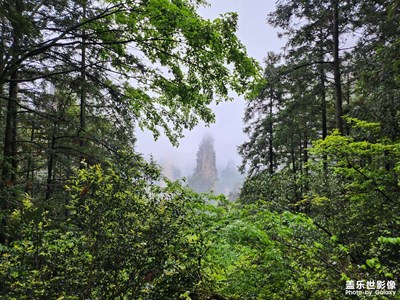 【快樂假日】+迷霧中的張家界