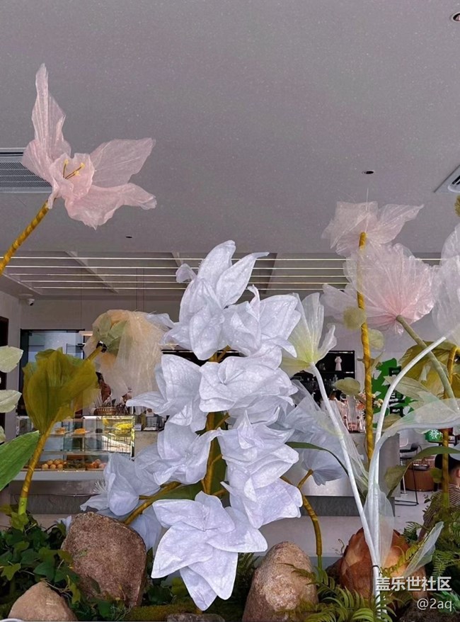 【去有風(fēng)的地方】出去玩