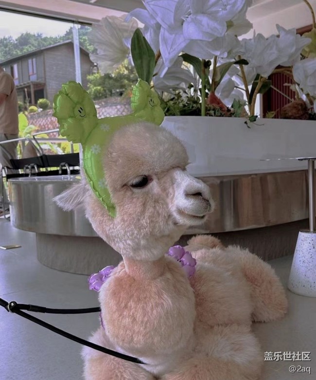 【去有風(fēng)的地方】出去玩