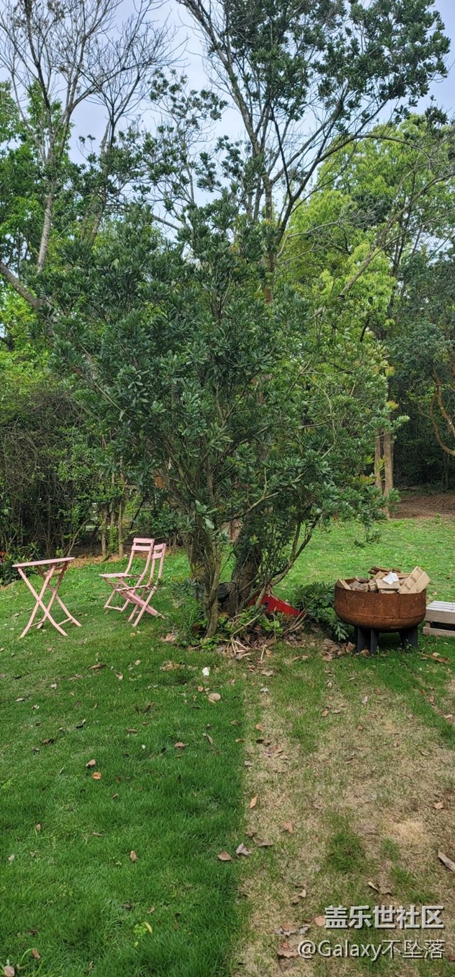 【追星星的我們】好好的活動(dòng)