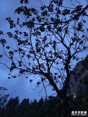 【三星手機(jī)的夜景】隨手夜拍