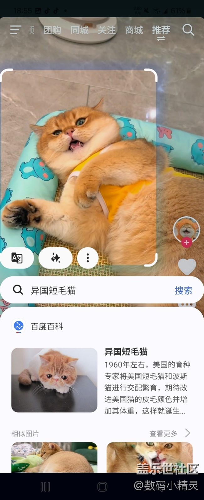【追星星的我們】一路向南，尋找遠(yuǎn)離城市的寂靜