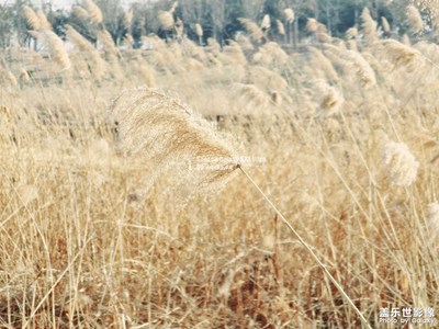 有誰夏天的時候想過冬天呢