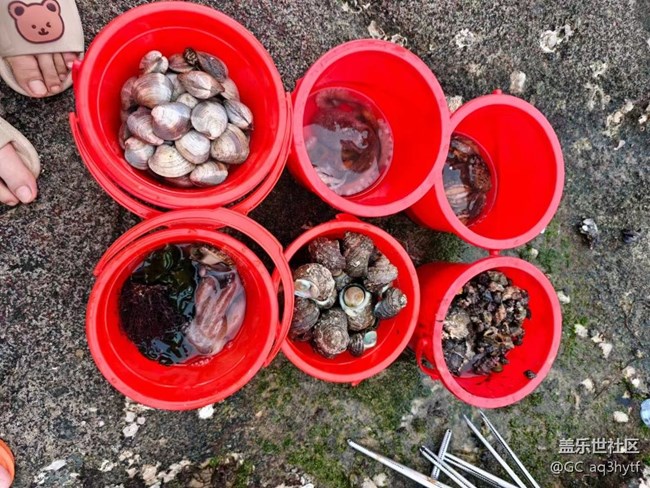 【我的旅行日記】趕海去