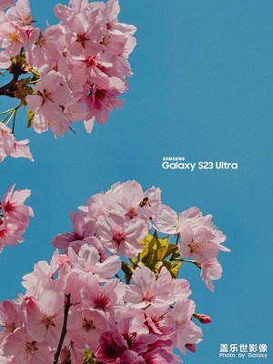 五月蔚藍(lán)色的天空