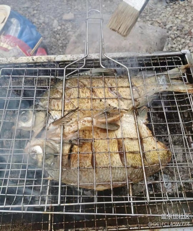 【輕夏趣生活】野炊