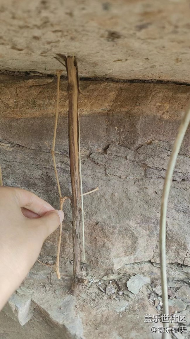 【輕夏趣生活】紅旗渠五一一日游