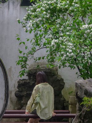 （快樂假期）+豫園的江南立夏