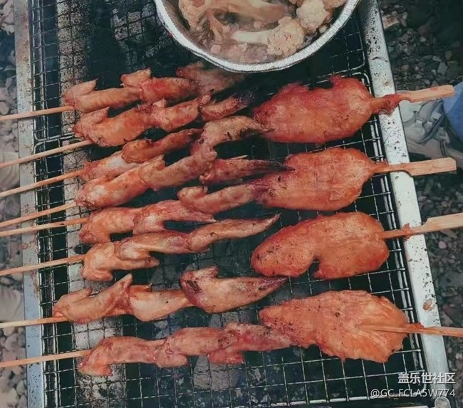 【輕夏趣生活】野炊