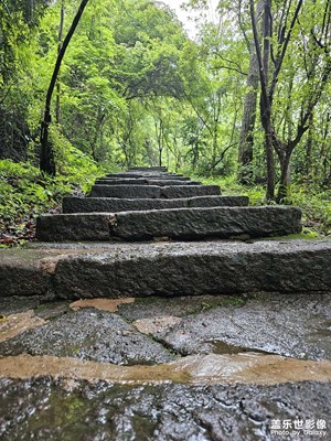 神仙居所應(yīng)如是
