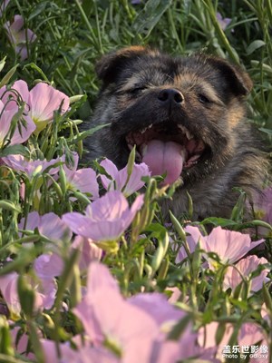 【快樂假日】 節(jié)后隨拍
